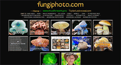 Desktop Screenshot of fungiphoto.com