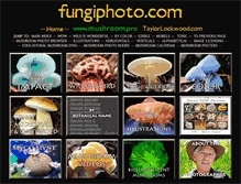Tablet Screenshot of fungiphoto.com